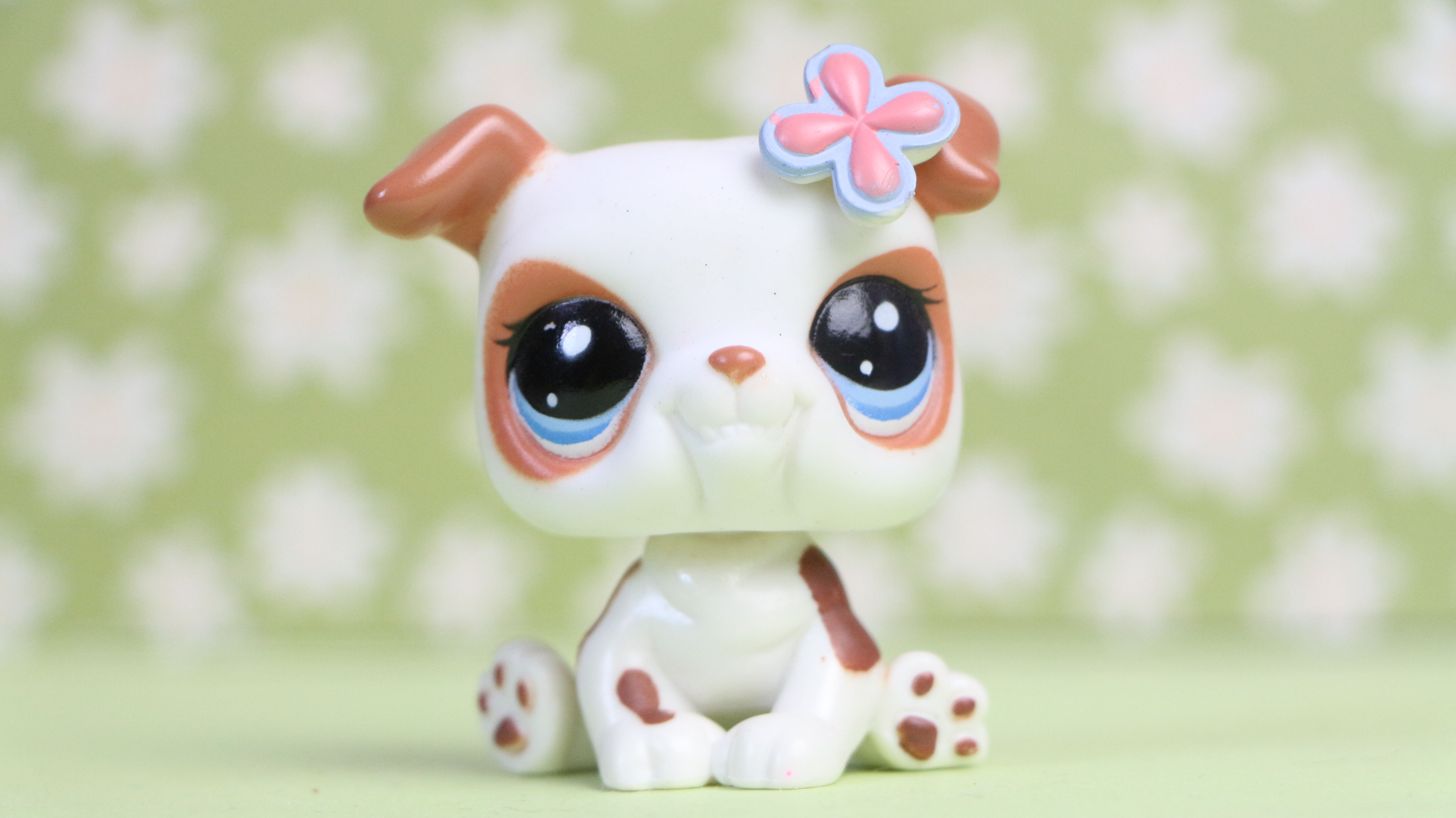 LPS French Bulldog Dog #2106