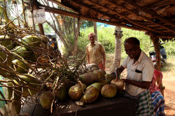 Kokosmælk, Tamil NAdu