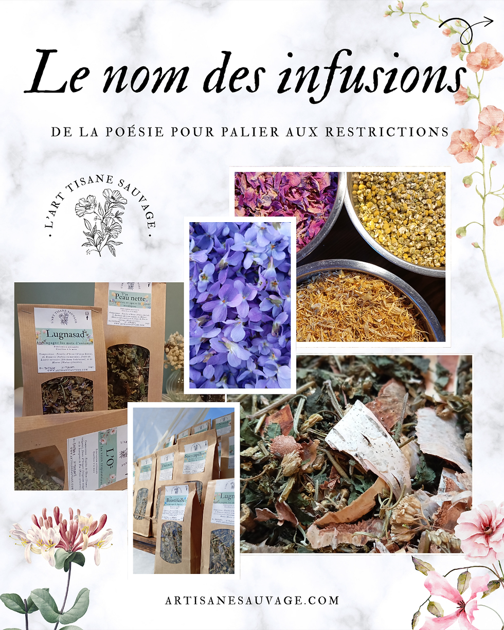 Le nom des infusions