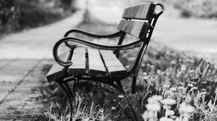 יהודית תרדי מהחלון!