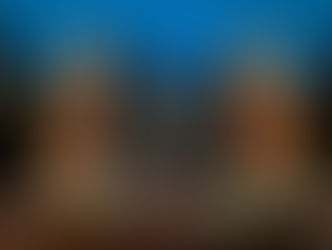 Gun Violence in the U.S. and the Brown University Shooting