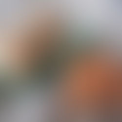 手作り鮭フレークで美味しさup！！