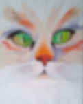 MYSTIC CAT