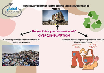 overconsumption poster (1) (1)_page-0001.jpg
