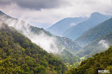 Muniellos-antes-del-otoño-Reserva-de-la-Biosfera-de-Muniellos-Asturias-España-by-machbel.j