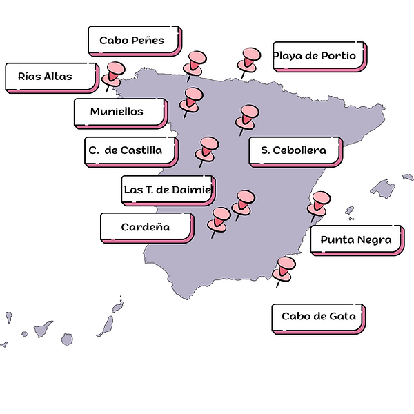Mapa España .png