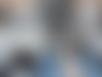 Le monde animal... des infos pas banales !