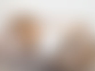 Aujourd'hui, zoom sur le chihuahua !