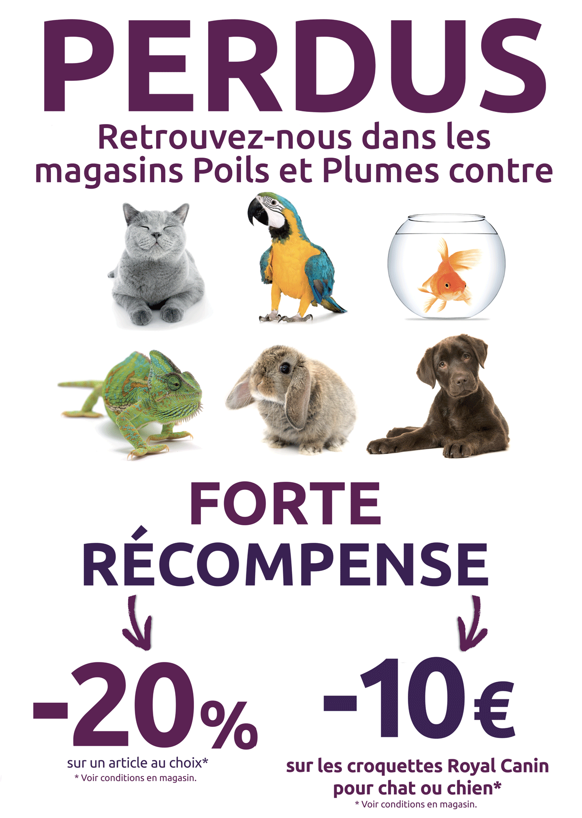 action-perdu-site.gif
