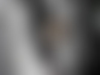 Information importante sur nos amis les chats !