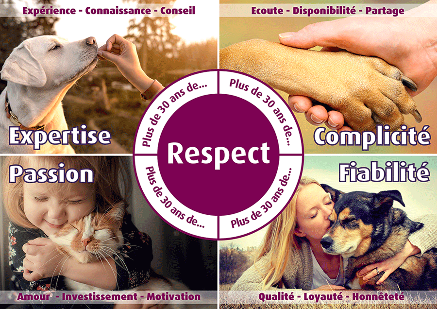 Respect.gif
