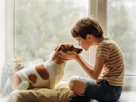 Être confiné avec son petit animal.