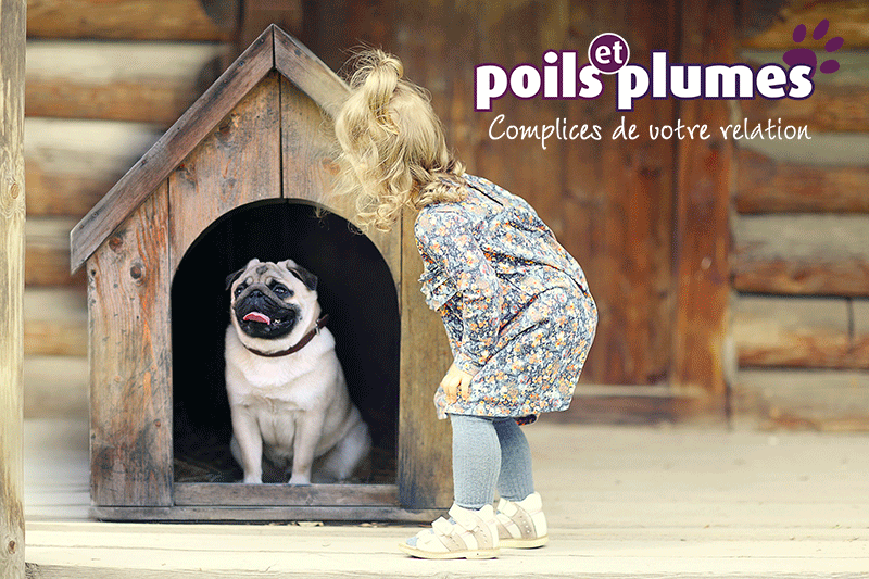 poils-et-plumes-accessoires-et-alimentation-pour-vos-animaux