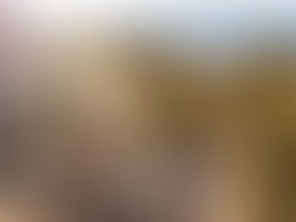 Beyond the Checklist: Unleash Your Wild & Intuitive Self in Midlife