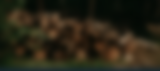 Design sem nome (1).png
