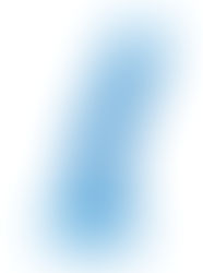  מדריך הויברטורים והדילדואים של מיסטר