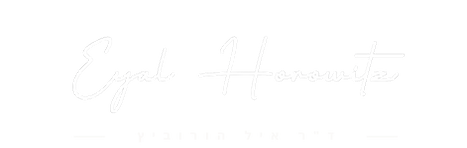 ךוגו איל סופי רקע שקוף (1).png