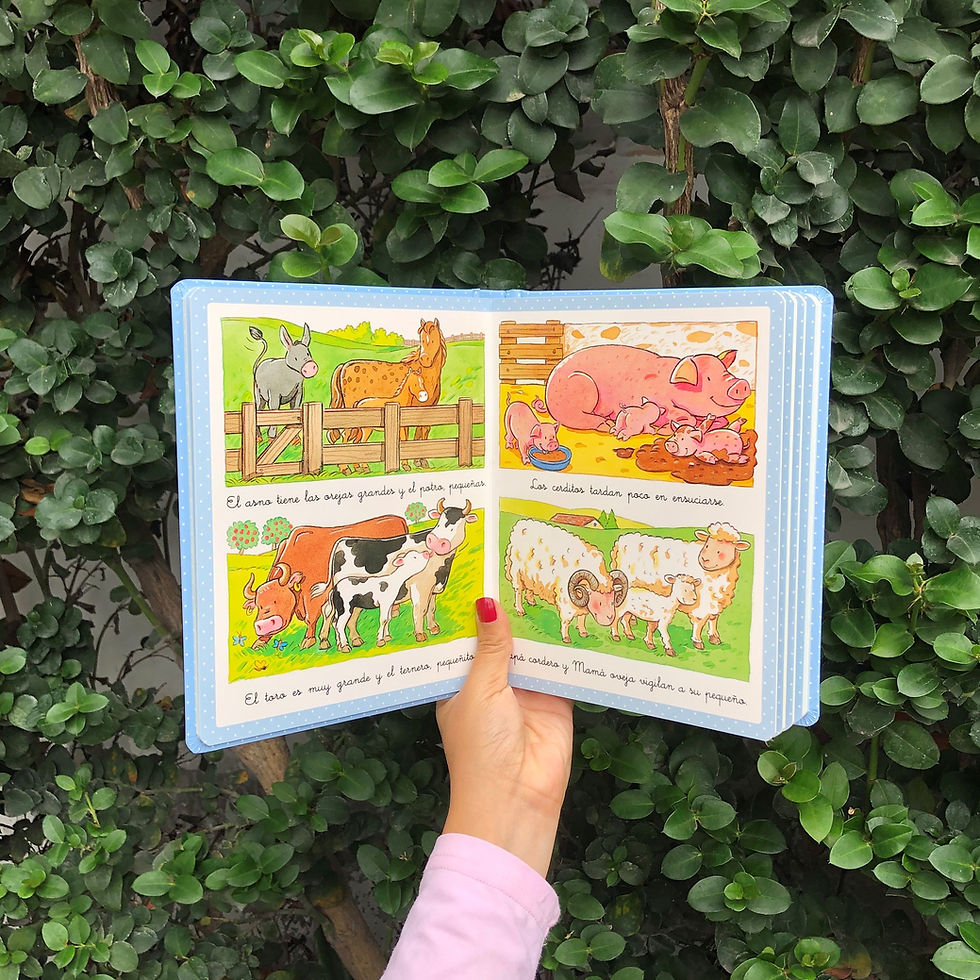 Miniatura: Los animales - Mini Diccionario por imágenes