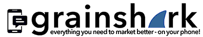 gs_logo_wicon_caption_400_72.gif