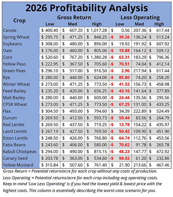 2026 Profitability Analysis.jpg