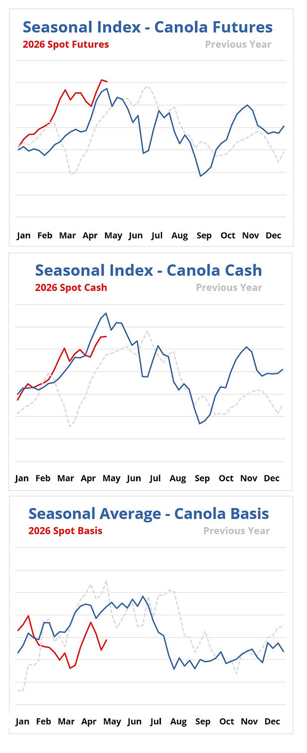 CANOLA1_may14.jpg