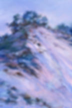 Dune, Central Beach #4