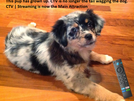 This Pup has grown up. CTV has shifted  from the tail wagging the dog to the entire dog. People spend as much time with CTV | Streaming as they do with broadcast & cable combined.