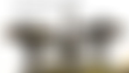 2 hurricanes, 2 totaled cars, home gutted, complexities of flood, homeowner's, & car insurance, running my business tackling life's tasks 24 hrs a day not enough