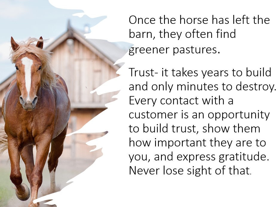 Once the horse has left the barn they often find greener pastures.