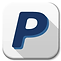 PayPal Icon
