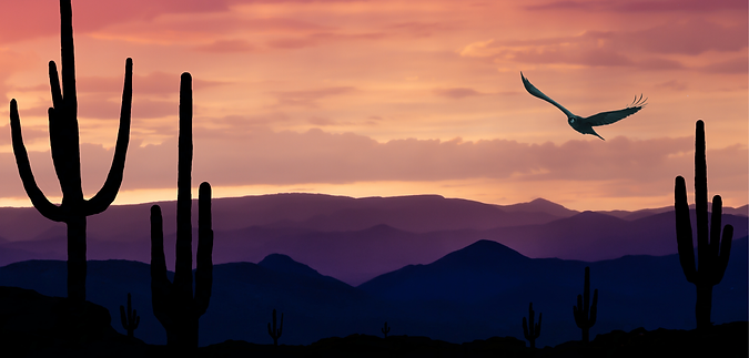 Eagle.png
