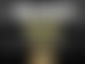 Overlook Drive Project Update