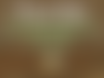 December Board Meeting Agenda