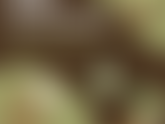 System Maintenance Warning