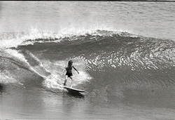 Terry Fitz Ulu.76_2