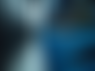 Optimize Your Systems with Network Management Services