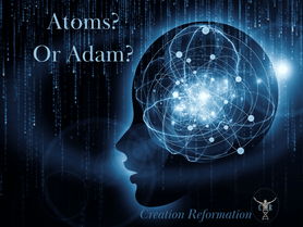 New at our Substack publication, Creation Reformation Insider: Human Beings, From Atoms, or Adam?