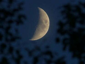 Evolution: A Non-Starter?