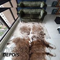 base antes e depois copiar.jpg
