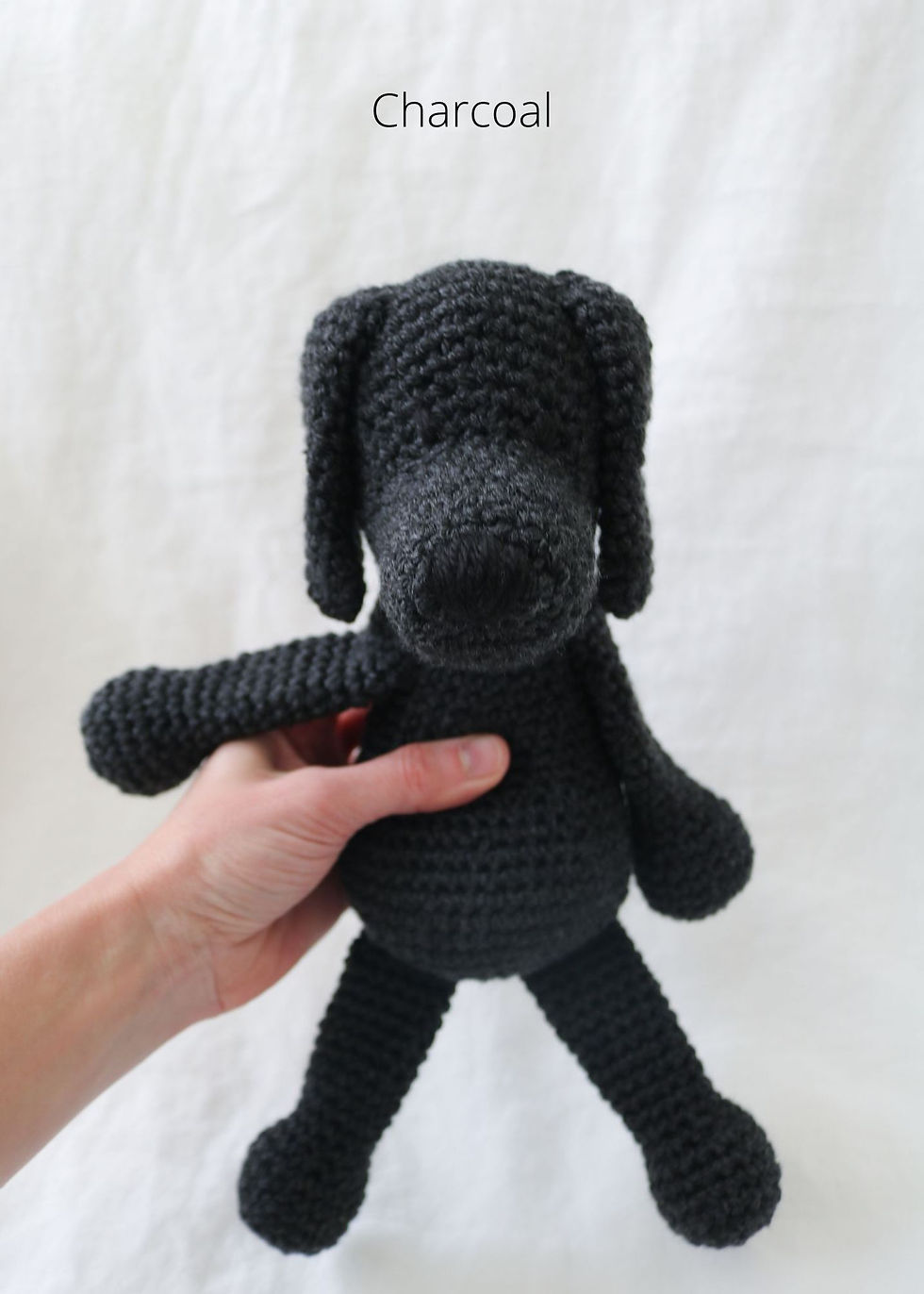 Thumbnail: weimaraner