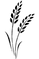 IMG_1970_edited.png