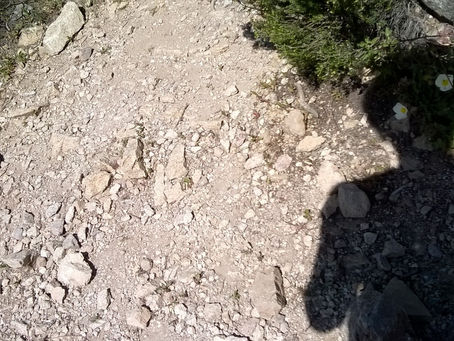 Le silence des invisibles entête nos vies d'un parfum dérangeant.