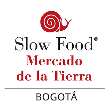 logo cuadrado MDT SF_Bogota.png