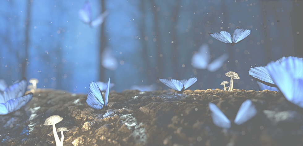 Butterfly BG 15.png