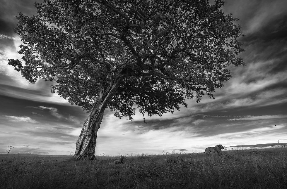 Example Of Monochromatic Color Harmony