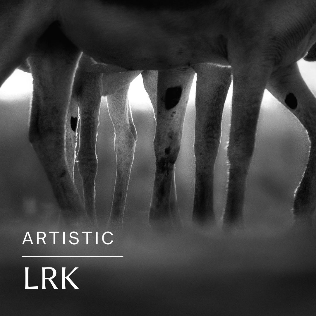 lrk wildlife photography workshop