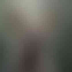 Striped Hyena - Photo by Jayanta Guha