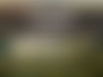 Prosperity Through Kinship
A Soulful Response to the Housing and Food Crisis