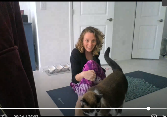 Writer: Amanda Caroline Bleich