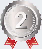 Advanced MPL Insight Solutions Report with a Quarterly Plan